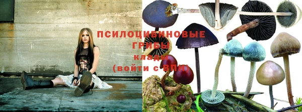 дмт Нязепетровск