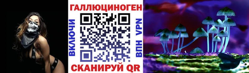 Галлюциногенные грибы мицелий  Купить  Бийск 